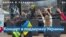 Солидарность с Украиной 
