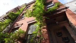 История рок-н-ролла в бывшем районе богемы