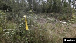 Желтой лентой отмечено место на эстонско-российской границе, где, по заявлению эстонских властей, был похищен Эстон Кохвер