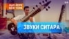 Звуки ситара