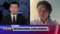 VOA连线：国际特赦组织发起联署，促中国让刘霞重获自由