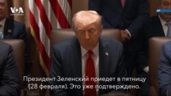 Трамп рассказал о мирных переговорах 