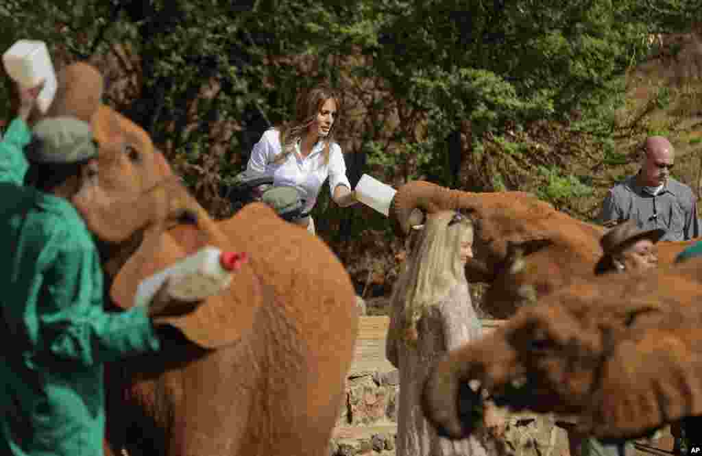 U.S. first lady Melania Trump feeds a baby elephant milk with a bottle, at the David Sheldrick Wildlife Trust elephant orphanage in Nairobi, Kenya, Oct. 5, 2018.