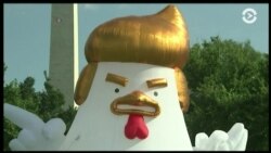 Кто кого чубит