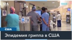 Грипп в США 