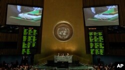 Голосование на Генеральной Ассамблее ООН. Нью-Йорк