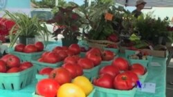 美国专讯：1)社区协助低收入家庭找出健康饮食新选择 2)教学新招：吃家庭作业