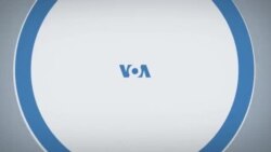 Итоги с Юлией Савченко