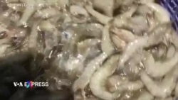 Mỹ trở thành thị trường nhập khẩu nông-lâm-thủy sản lớn nhất của Việt Nam