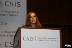 战略与国际研究中心资深研究员葛来仪(美国之音钟辰芳拍摄)