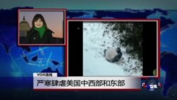 VOA连线：严寒肆虐美国中西部和东部