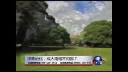 海峡论谈:泛政治化，成大南榕不相容？