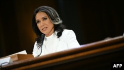 Тулси Габбард (архивное фото) 