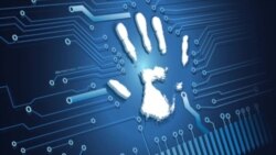 美部长：中国网络法影响美企业投资