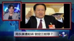 VOA卫视（2015年4月4日 第二小时节目：焦点对话 完整版（重播）)